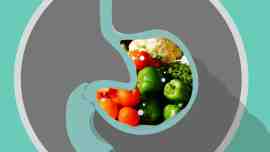 food-digest-veggies-1024x768.jpg