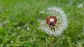 s8high_800x600.jpg