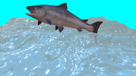 test.png