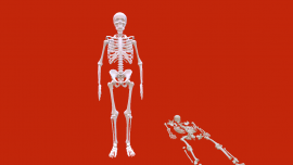test.png