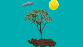 test.png