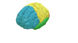 test.png